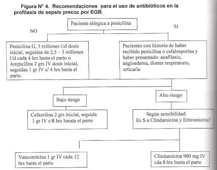 29.- Infección Por Estreptococo Beta Hemolítico Grupo B